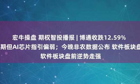 宏牛操盘 期权智投播报 | 博通收跌12.59% Q2业绩超预期但AI芯片指引偏弱；今晚非农数据公布 软件板块盘前逆势走强